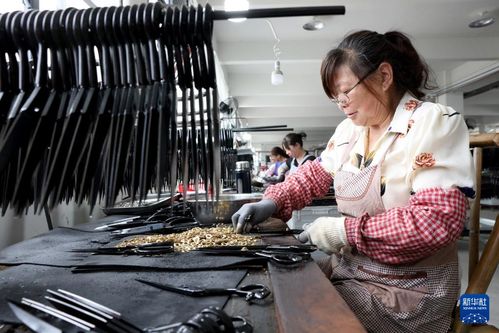 福建柘荣 小小剪刀闯世界
