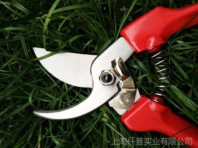 专业生产批发 园林剪刀 修枝剪 高枝剪 盆景剪 树枝剪刀