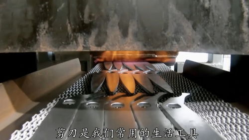 剪刀是如何制作的 剪刀 生产 造物百科